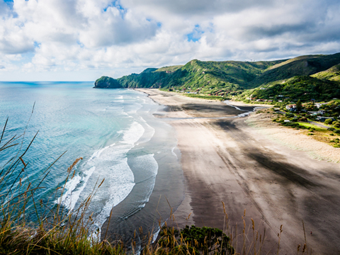 cc攻击免费网页版